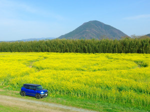 20190403072409 スナップ スズキ販売労働組合 松山支部 小関　康史 春